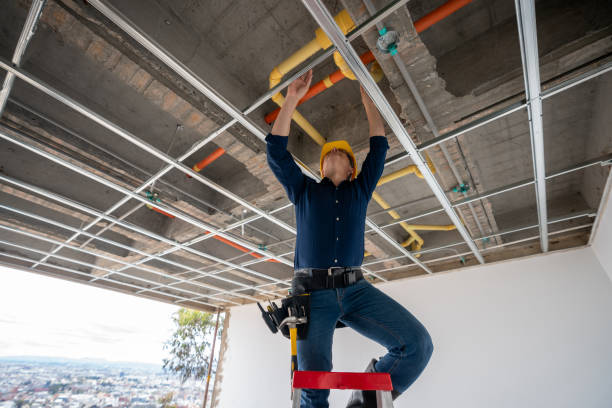 Best Leak Detection Services  in Mulberry, AR